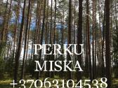 Perku miska