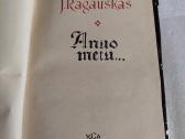 Anuo metu - nuotraukos Nr. 2