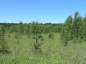 2,6 ha sklypas prie Neries - nuotraukos Nr. 2