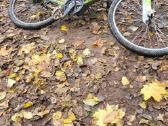 Giant Revel 4 Street 2011 Hardtail - nuotraukos Nr. 4