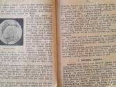 "Astronomija 1907m A Macejavskio Knygynas" Kaunas - nuotraukos Nr. 5