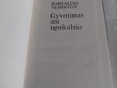 Gyvenimas ant ugnikalnio - nuotraukos Nr. 2