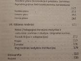 Gitara - nuotraukos Nr. 4