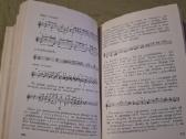 Gitara - nuotraukos Nr. 10