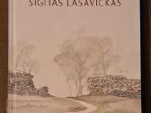 Architektas Sigitas Lasavickas Povilaitytė, Vitkau