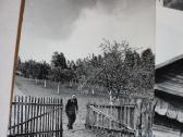 Romualdo Rakausko fotografija Švendubrės kaime - nuotraukos Nr. 3