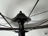 Zipp - nuotraukos Nr. 5