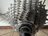 Zipp - nuotraukos Nr. 6