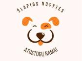 Šuniukų atostogų namai