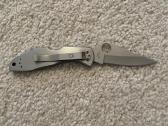 Spyderco Delica