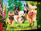 Dėlionės (puzzle) pigiau - nuotraukos Nr. 7