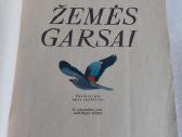 Žemės garsai - nuotraukos Nr. 2