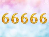 Parduodu numeri 6x0 66666