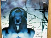 Eminem - Slim Shady Lp (1999) Vinilinė Plokštelė - nuotraukos Nr. 2