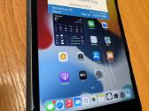 iPad Mini 4 Gray 128gb WiFi Su Garantija - nuotraukos Nr. 2