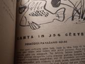 Moters kalendorius 1965 - nuotraukos Nr. 3