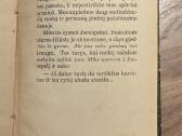 Cukriniai avinėliai 1935 - nuotraukos Nr. 9