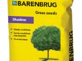 Barenbrug vejos sėklos - nuotraukos Nr. 3