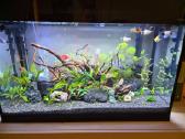 Aquael Glossy 125l LED D&n Detalėms renovacijai - nuotraukos Nr. 4