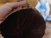 Afrikiete - nuotraukos Nr. 2