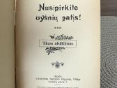 Nusipirkite vyšnių patys! - nuotraukos Nr. 2