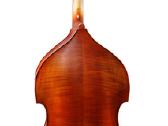 Nauja Violončelė - nuotraukos Nr. 2