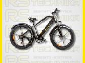 Elektrinis dviratis GREEN POWER CRUISER