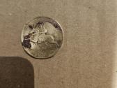 50 Centu 1925 - nuotraukos Nr. 2