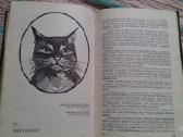 Įdomioji zoologija - nuotraukos Nr. 3