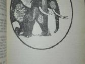 Įdomioji zoologija - nuotraukos Nr. 5