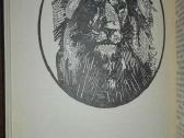 Įdomioji zoologija - nuotraukos Nr. 7