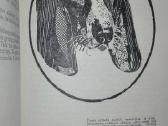 Įdomioji zoologija - nuotraukos Nr. 8