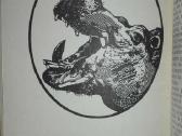 Įdomioji zoologija - nuotraukos Nr. 9