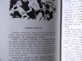 Rambyno burtininkas (1958) - nuotraukos Nr. 4