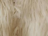 Trumpi kailinukai - nuotraukos Nr. 5
