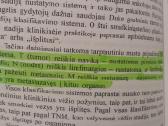 Jeremy R.geffen knyga "Kelione per vezi" - nuotraukos Nr. 5