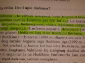 Jeremy R.geffen knyga "Kelione per vezi" - nuotraukos Nr. 6