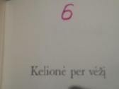 Jeremy R.geffen knyga "Kelione per vezi" - nuotraukos Nr. 19
