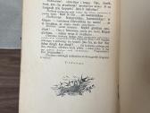 Žiemos ledai 1913 m. - nuotraukos Nr. 6