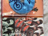 Pink Floyd – The Piper At The Gates Of Dawn - nuotraukos Nr. 9