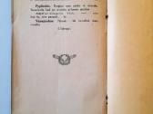 Avinėlis Nekaltasis 1921m. - nuotraukos Nr. 7