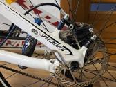 Specialized epic kalnų dviratis - nuotraukos Nr. 3