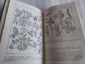 Справочник бригадира-садовода - nuotraukos Nr. 7