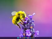 Verslo klases Dell Latitude e6540 - nuotraukos Nr. 15