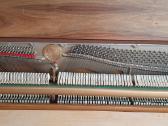 Pianinas Zimmermann, vokiškas - nuotraukos Nr. 3