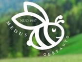 Išskirtinės kokybės ekologiškas medus - nuotraukos Nr. 2