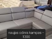 Odiniai Baldai Kampas Sofa Reglainer - nuotraukos Nr. 12