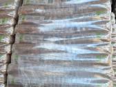 Išparduodampremium en+1a 15kg granulės, 285 Eur T - nuotraukos Nr. 4