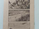 1994 m. kalendorius - nuotraukos Nr. 5