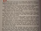 Lietuva šiandien - nuotraukos Nr. 6